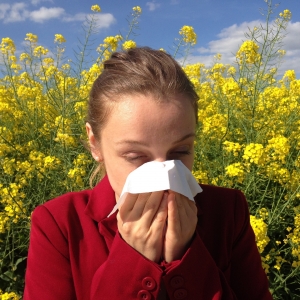 allergy pollen eyes