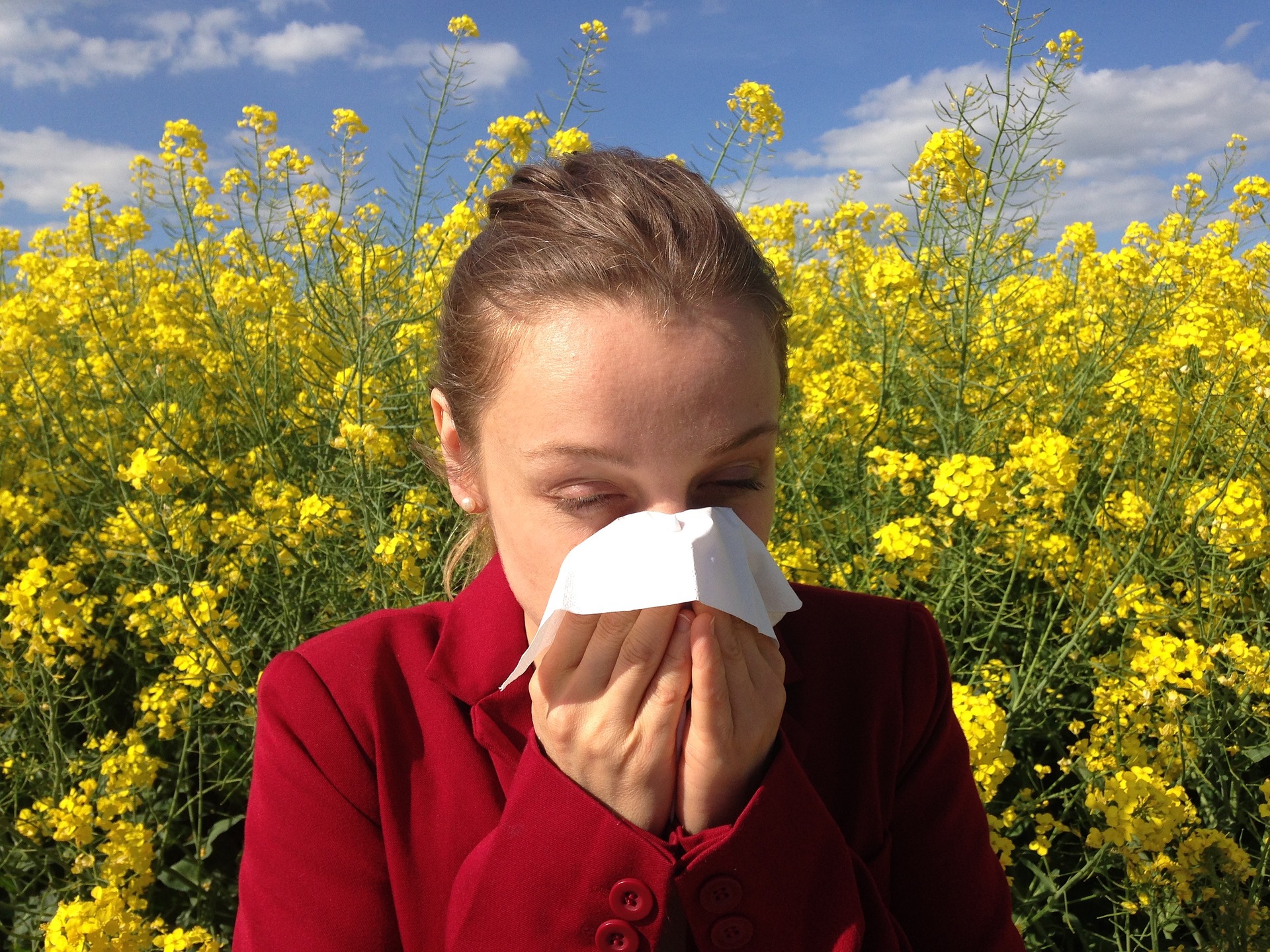 allergy pollen eyes